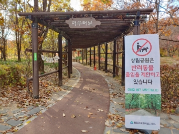 멈추지 않는 사랑 - 11월 ..